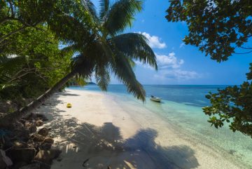 Les meilleures spots à découvrir en Martinique